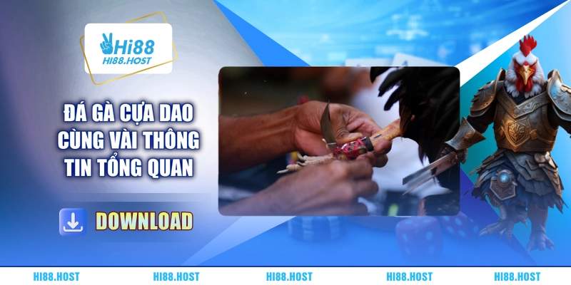 Đá gà cựa dao cùng vài thông tin tổng quan Đá gà cựa dao cùng vài thông tin tổng quan