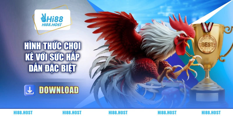 Hình thức chọi kê với sức hấp dẫn đặc biệt Hình thức chọi kê với sức hấp dẫn đặc biệt