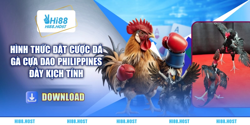 Hình thức đặt cược đá gà cựa dao Philippines đầy kịch tính Hình thức đặt cược đá gà cựa dao Philippines đầy kịch tính