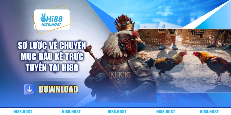 Sơ lược về chuyên mục đấu kê trực tuyến tại Hi88 Sơ lược về chuyên mục đấu kê trực tuyến tại Hi88