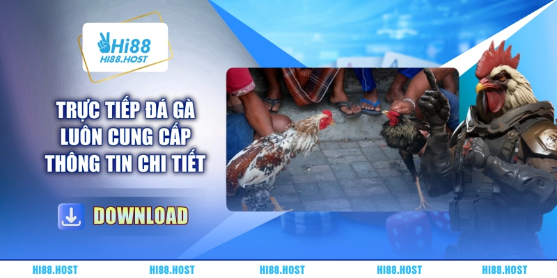 Trực tiếp đá gà luôn cung cấp thông tin chi tiết Trực tiếp đá gà luôn cung cấp thông tin chi tiết